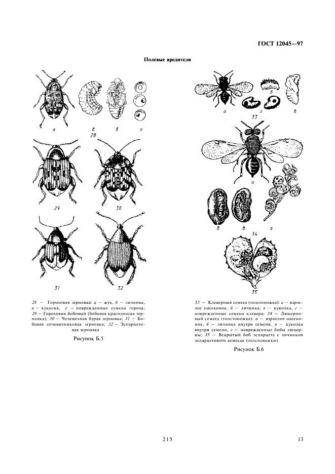  12045-97