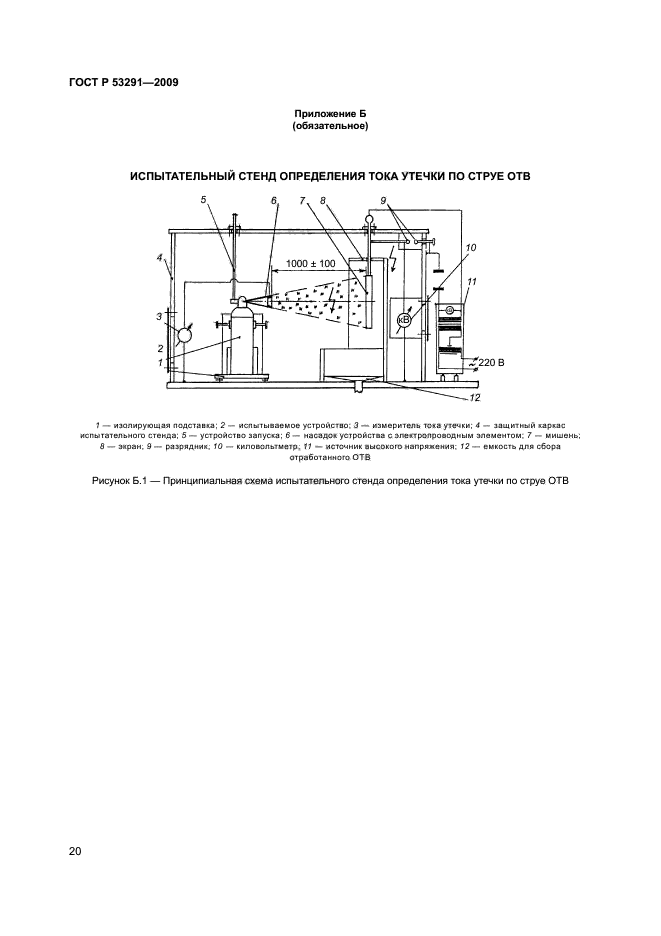   53291-2009