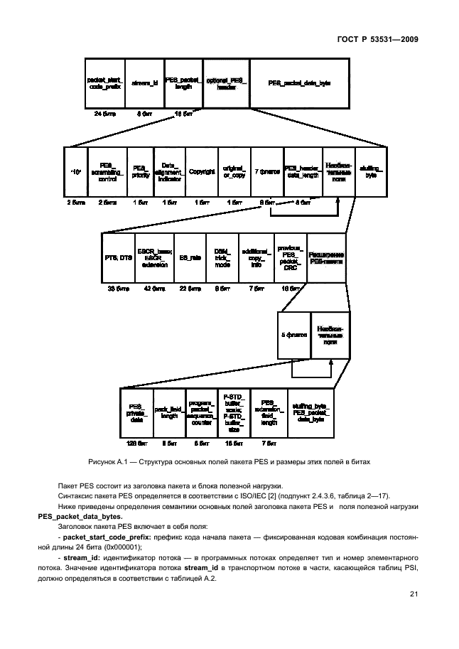   53531-2009