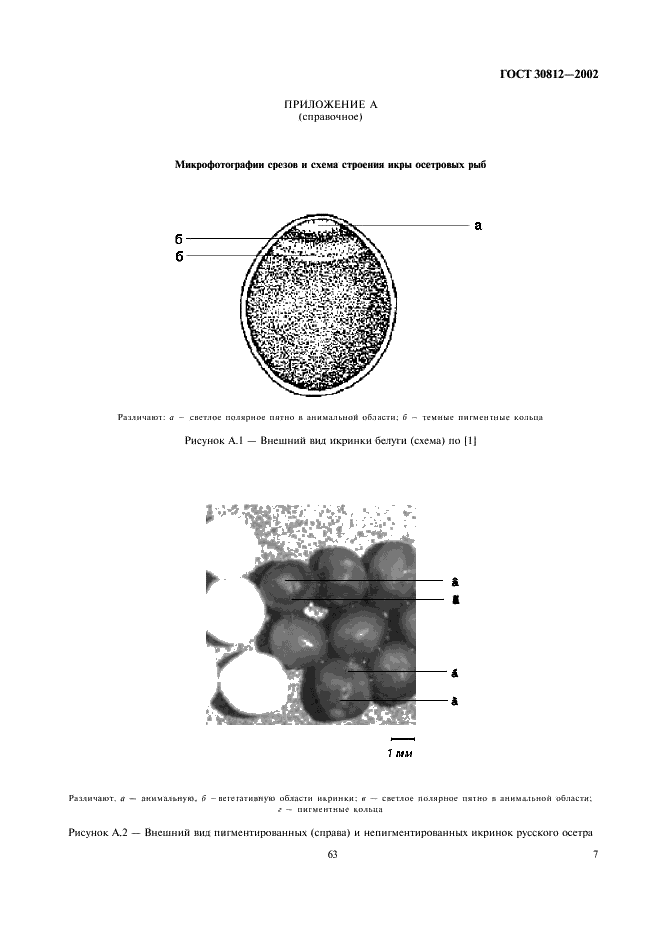  30812-2002